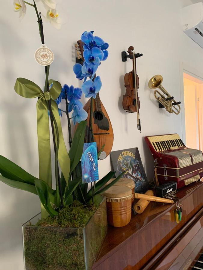 Bed and Breakfast Music House Palinuro Exterior foto